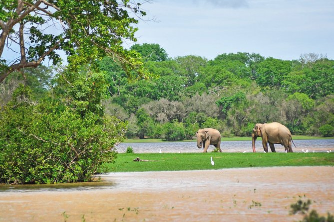 Lahugala Kitulana National Park Private Safari - The Sum Up