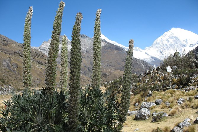 LAKE 69 Camping on Private Tour - Huascaran National Park - Pickup Points