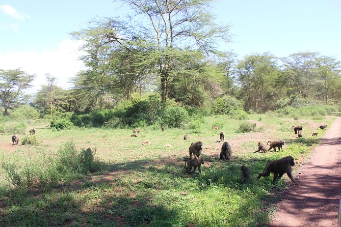 Lake Manyara National Park - Directions