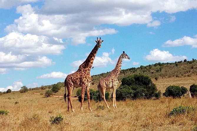 Lake Naivasha With Crescent Island 2-Day Safari From Nairobi - Booking and Cancellation Policy