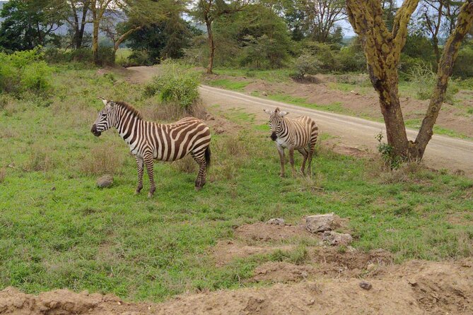 Lake Nakuru National Park:Day Trip From Nairobi - Cancellation Policy