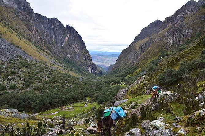 Lares Trek to Machu Picchu 4 Days - Tips for a Successful Experience