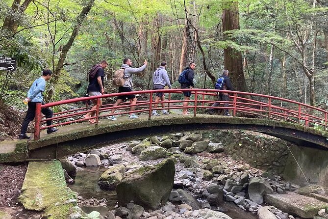 Leg Waterfall Training Experience at Mt. Inunaki in Osaka - Cancellation Policy