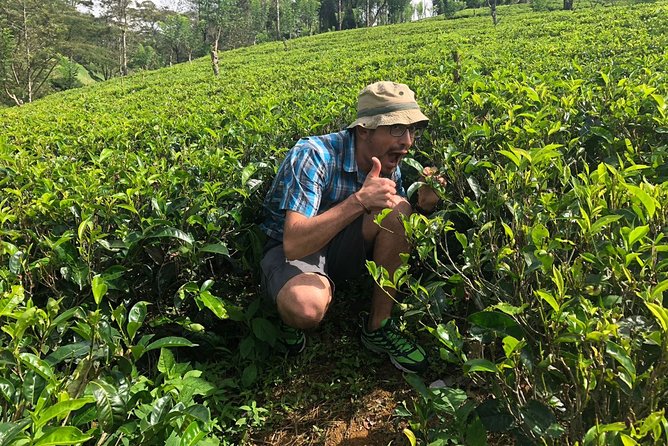 LGBT Friendly Tour in Paradise Island (7 Days) - Cancellation Policy