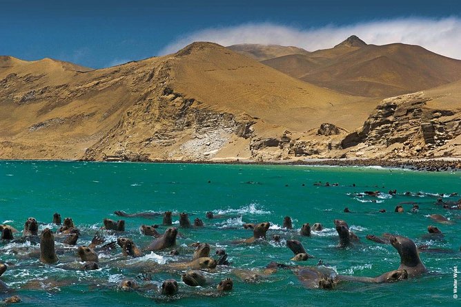 Lima City Highlights ( All Included! ) - Price Details