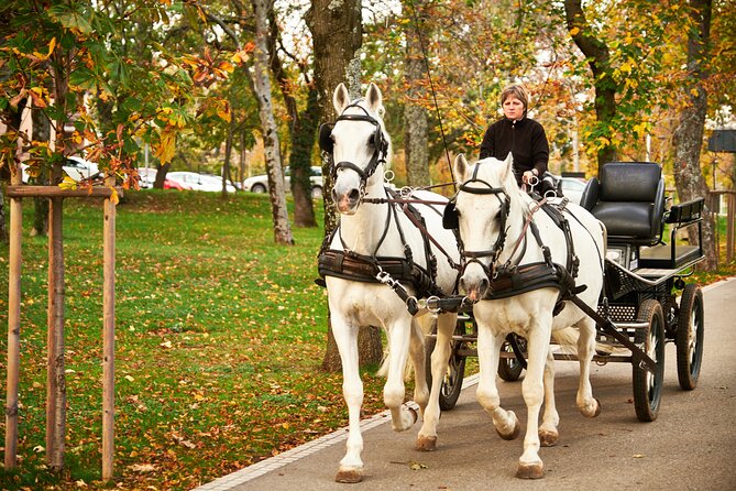 Lipica Stud Farm Tour (Up to 8 Persons) - Accessibility Information