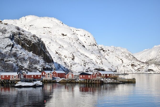 Lofoten PRIVATE Tour From Svolvaer - Large Group (5-8 Pax) - Cancellation Policy