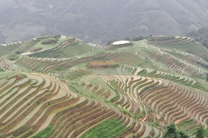 Longji Rice Terraces Day Tour With the Pingan and Dazhai Village - Price and Guarantee