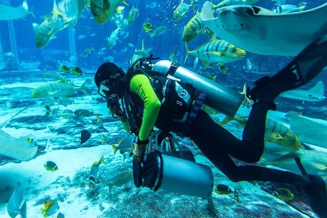 Lost Chambers Aquarium Private Tour With Pick and Drop off - Pricing and Reservation