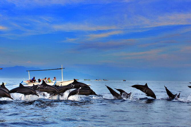Lovina Sunrise Dolphin Watching and North Bali Tour - Infant Policy and Customization