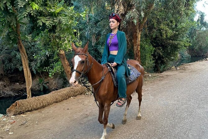 Luxor Amazing Horse Riding Tour in West Bank With Transfer - Pricing Information