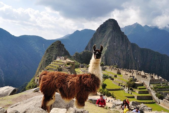 Machu Picchu 1-Day Tour From Cusco | by Train From Ollantaytambo - Accessibility Considerations