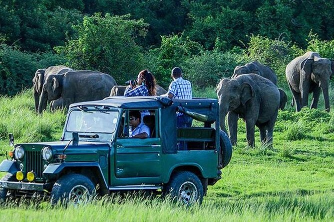 Maduru Oya Safari and Indigenous Village Day Trip From Ella - Location and Pickup Details