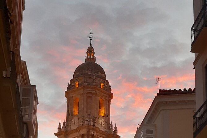 Malaga - Private Historic Walking Tour - Additional Details