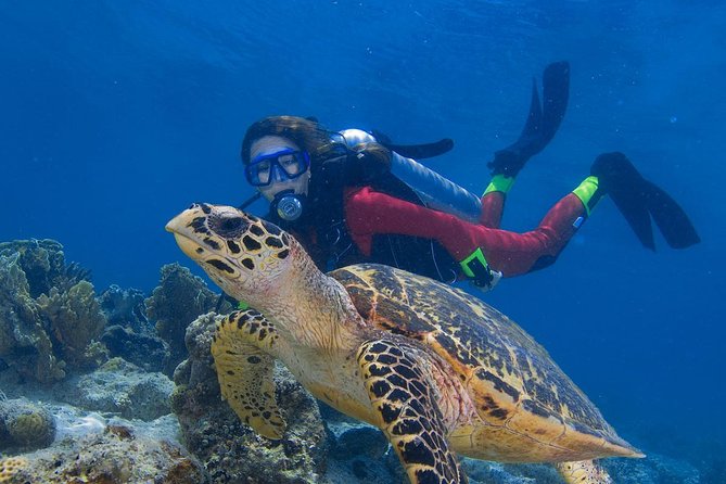 Mantanani Island Diving Paradise Tour From Kota Kinabalu - Directions and Logistics