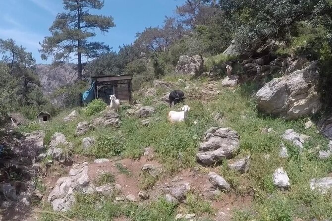 Marmaris Jeep Safari, Waterfall, Jesus Beach and Water Fight - Traveler Accessibility