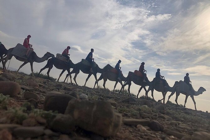 Marrakech and Imlil Hiking and Walking Day Trip - Accessibility and Cancellation Policy