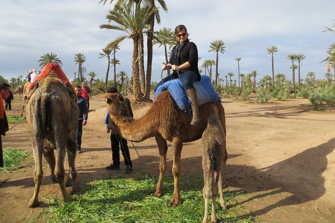 Marrakech Experience: PalmGrove Camel Ride Excursion - Important Considerations