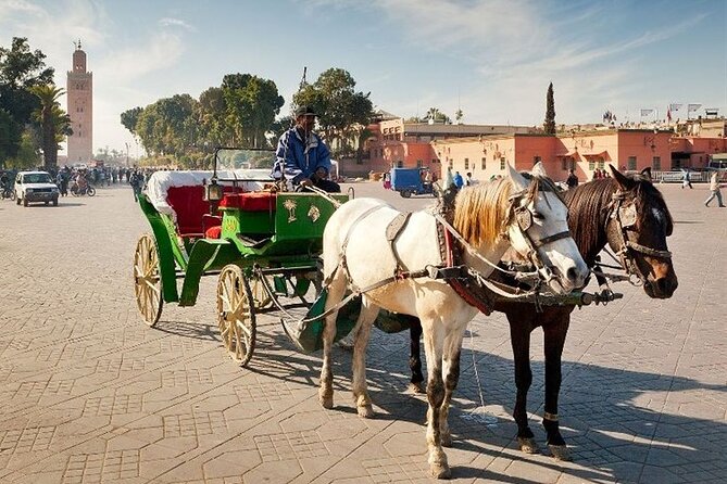Marrakech Medina Tour With Private Licensed Guide - Pricing Structure