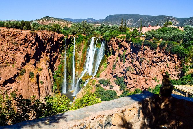 Marrakech: Ouzoud Waterfalls Day Trip & Optional Boat Ride - Frequently Asked Questions