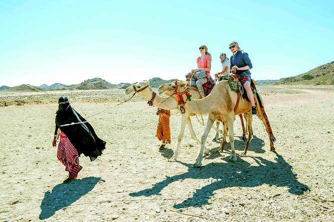 Marsa Alam: 3-Hour Desert Safari Experience With the ATV Quad & Camel Ride - Price and Reservation