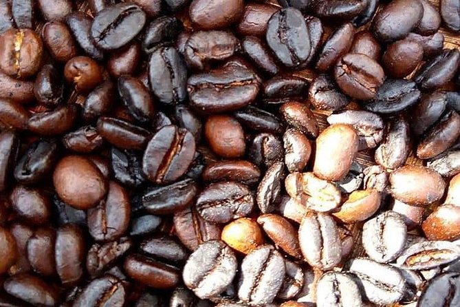 Materuni Waterfalls & Coffee Tour - Pricing Details