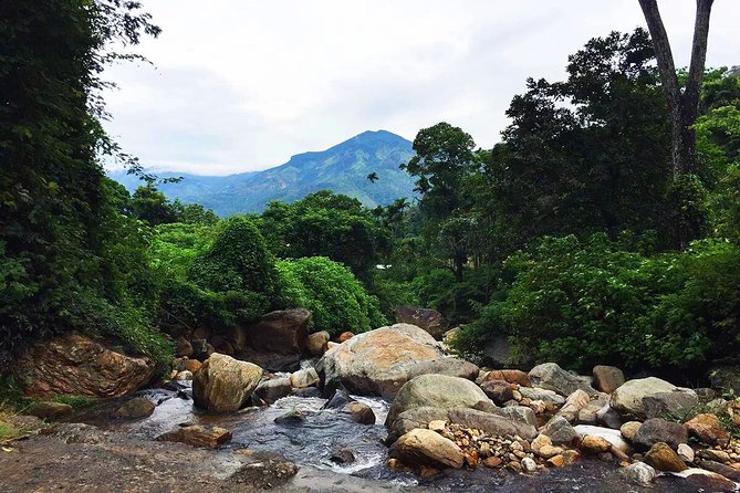 Meditation & Music Therapy at Polgahaamuna Waterfall - Pickup Information