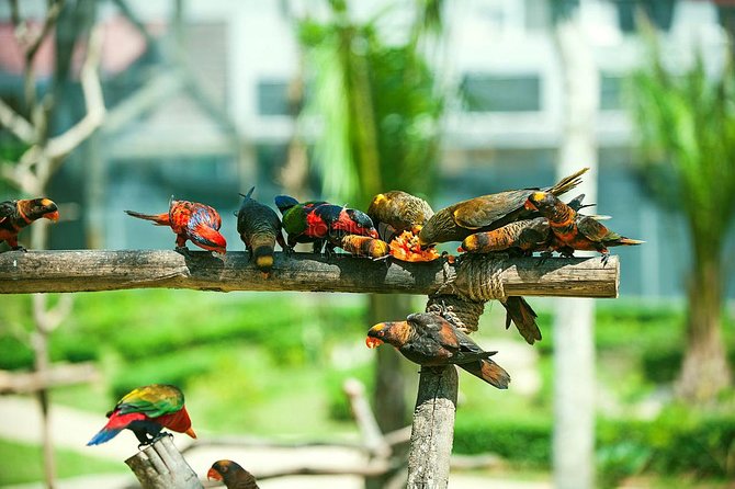 Melaka Zoo & Crocodile Park Tour From Kuala Lumpur With Lunch - Start Time