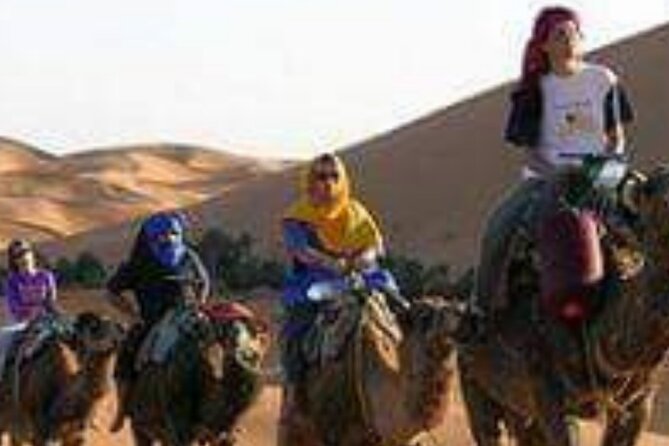 Merzouga Wild Luxury Desert Cam - Accessibility and Recommendations