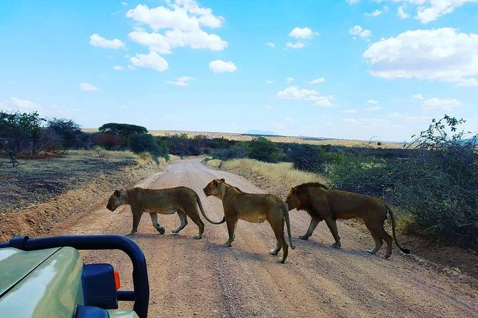 Mikumi National Park 3 Days 2 Nights - The Sum Up