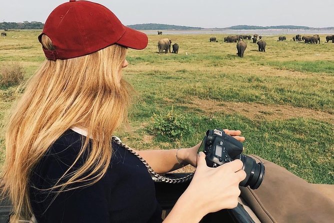 Minneriya National Park Private Jeep Safari From Habarana