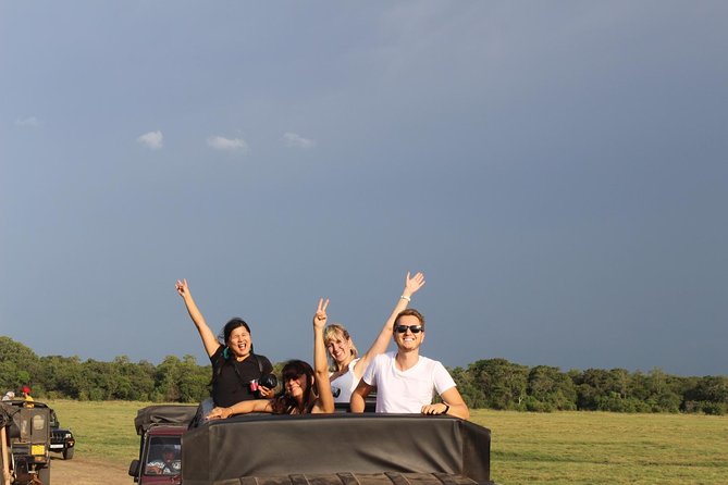 Minneriya National Park Private Jeep Safari From Habarana - Directions