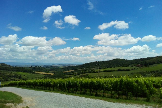 Montalcino and Pienza Tuscany Wine&Cheese Shoreexcursion From Civitavecchia Port - Frequently Asked Questions