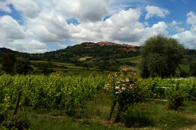 Montepulciano and Pienza Tuscany Wine&Cheese Fullday From Rome - Frequently Asked Questions