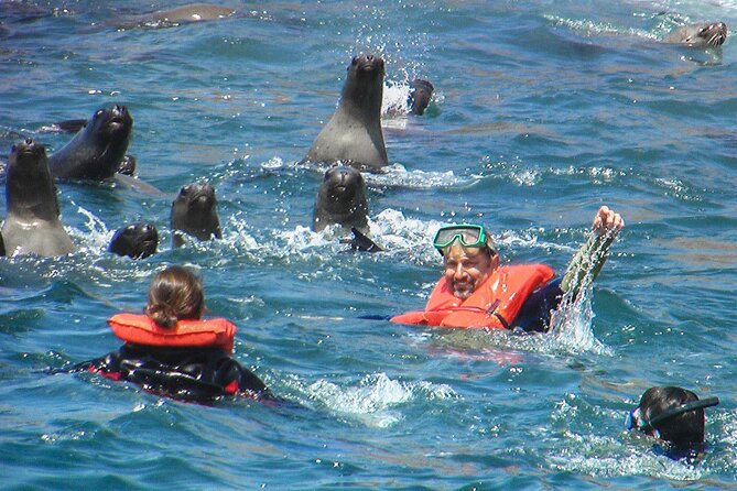 Morning: Palomino Island Tour - Additional Information