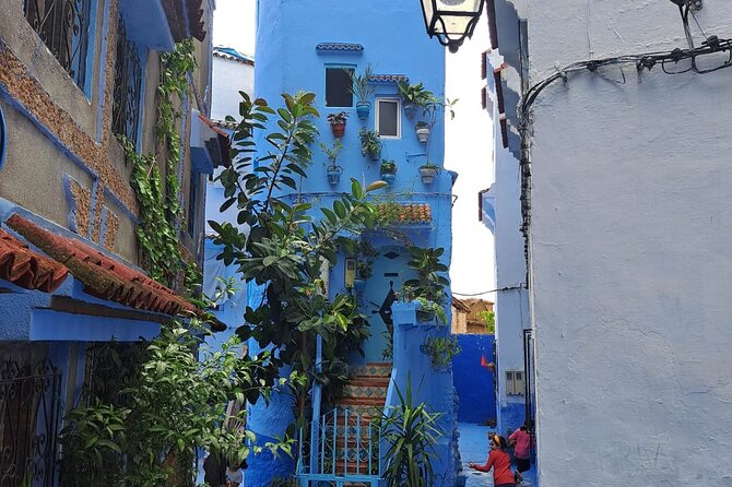 Morocco in Private: Tangier and the Blue Chefchaouen in One Day - Visa Requirements
