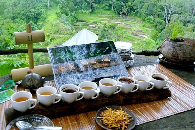 Mount Batur Sun Rise Trekking - Hot Spring Water - Coffee Plantation - Free WiFi - Start Time: 02:00 Am