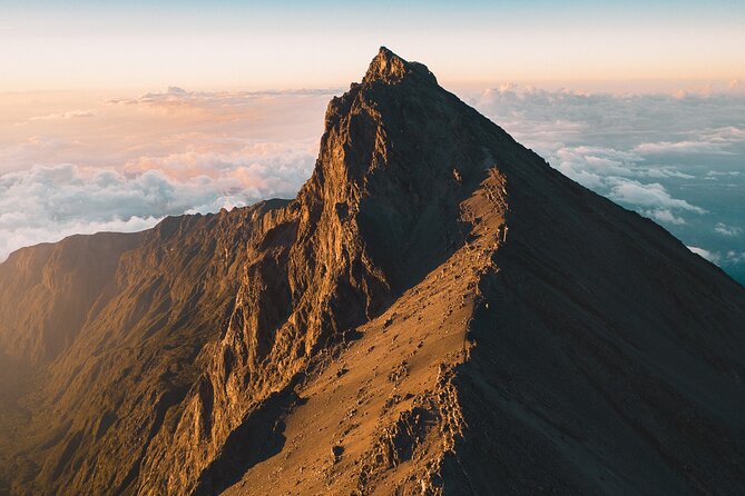Mount Kenya National Park Full-Day Hike - Guarantee