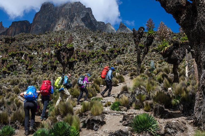 Mt. Kenya Trekking 5 Days Sirimon Route