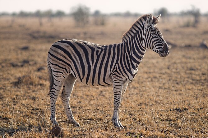 Nairobi National Park and Giraffe Center Half Day Tour - Additional Information