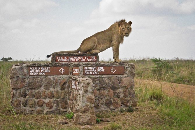 Nairobi National Park & Carnivore Restaurant Lunch or Dinner Guided Day Tour - Booking Flexibility