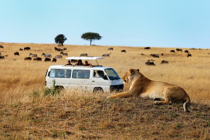 Nairobi National Park Game Drive & Carnivore Restaurant Lunch or Dinner - Booking and Cancellation Policy
