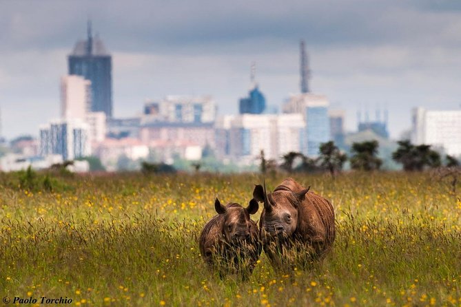 Nairobi National Park, Giraffe Center & Beads Factory Guided Day Tour - Cancellation Policy
