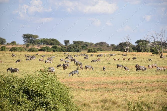 Nairobi to Lake Naivasha Day Tour With Crescent Island - The Sum Up