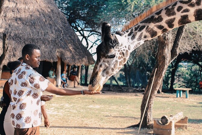 Nairobis Wild Heart: A Safari & Heritage Quest - Transportation Details