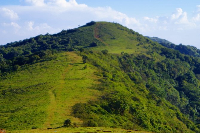 Ngong Hills Tour and Adventure - Accessibility Information