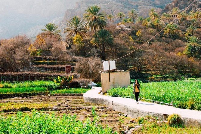 Nizwa Tour With Jabal Akhdar Tour- (Oman) Special Offer (Price per Vehicle) - General Information