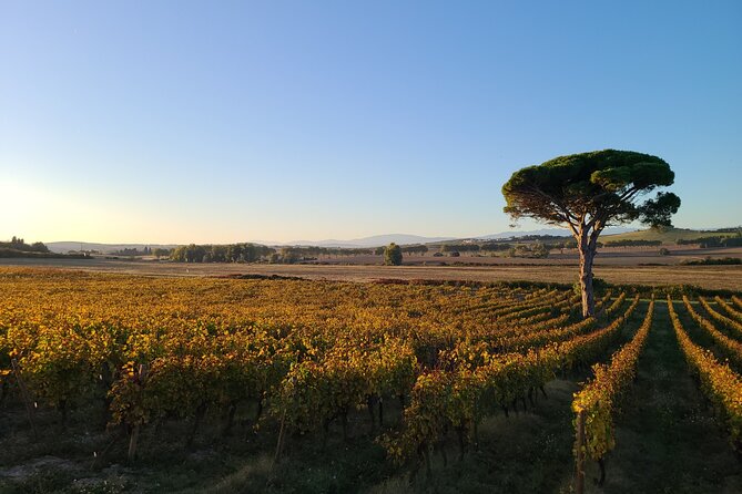 Oenology Workshop and Wine Tasting - Reservation and Cancellation Policy