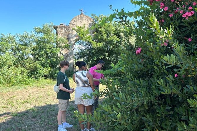 Olive Tree Grove Guided Visit With Tasting in Oristano - Additional Information