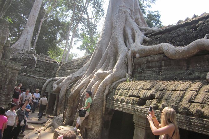 One Day Angkor World Heritage Tour - Frequently Asked Questions